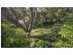 48 Bushland Avenue, Mollymook NSW 2539