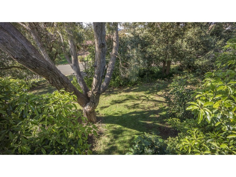 48 Bushland Avenue, Mollymook NSW 2539