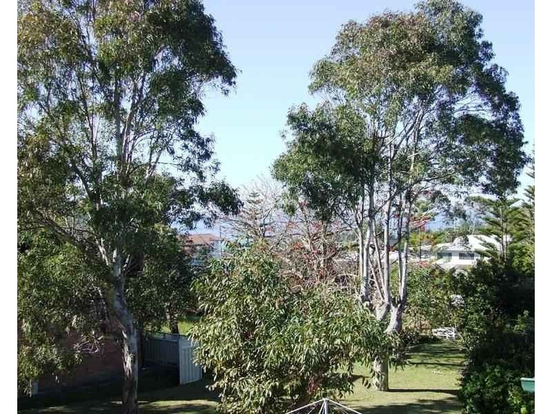 74 Lockhart Avenue, Mollymook NSW 2539
