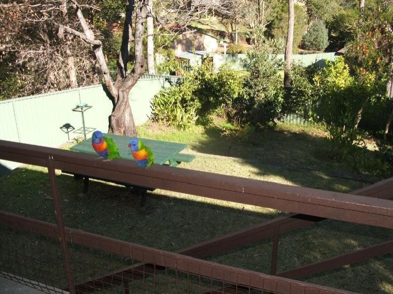11 Ross Avenue, Narrawallee NSW 2539