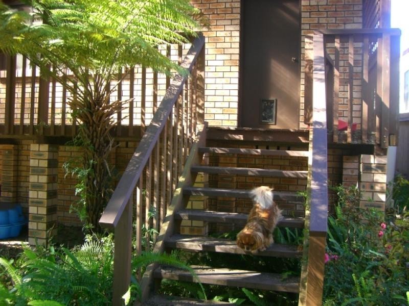 64 Ross Avenue, Narrawallee NSW 2539