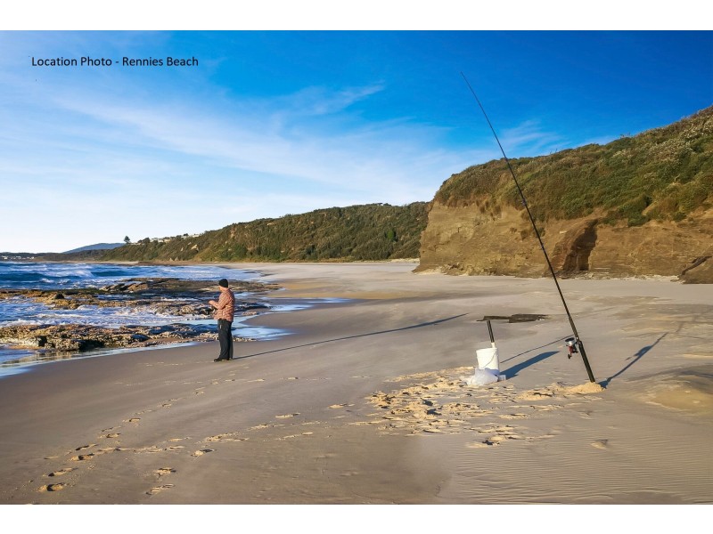 59 Did Dell Street, Ulladulla NSW 2539