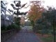 622  The Branch Ln, THE BRANCH Via, Stroud NSW 2425