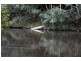 622  The Branch Ln, THE BRANCH Via, Stroud NSW 2425