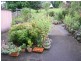 17 Broadway St, Stroud NSW 2425