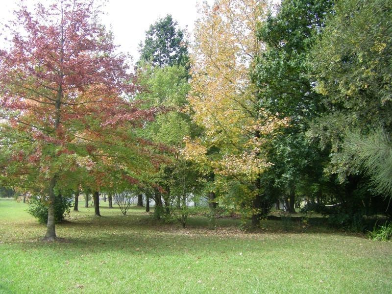 37 Terreel Rd, Wards RIver Via, Stroud NSW 2425