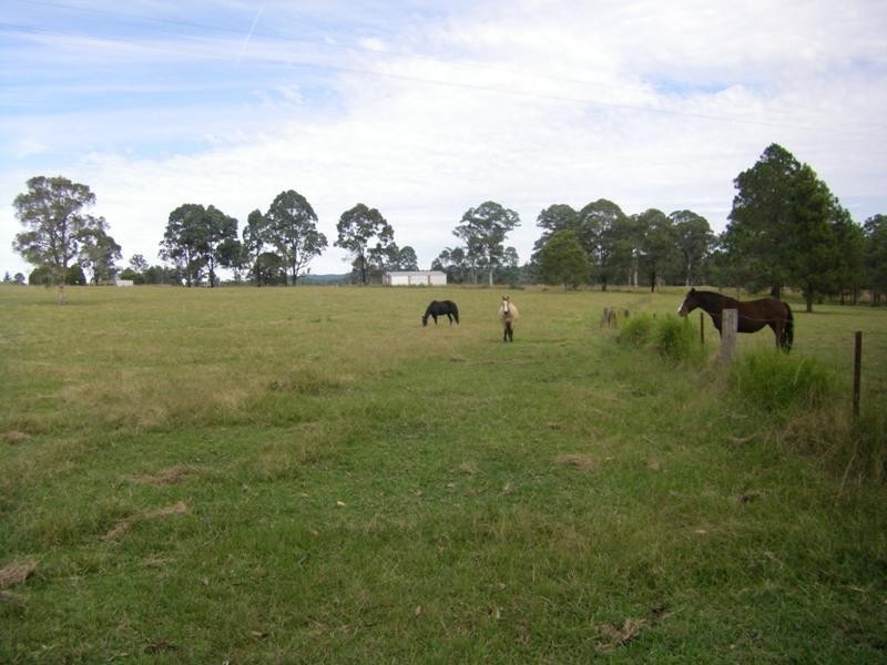 37 Terreel Rd, Wards RIver Via, Stroud NSW 2425