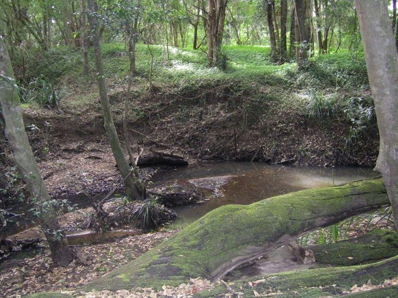 37 Terreel Rd, Wards RIver Via, Stroud NSW 2425