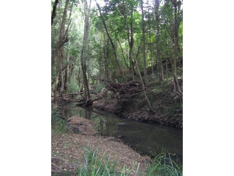 37 Terreel Rd, Wards RIver Via, Stroud NSW 2425