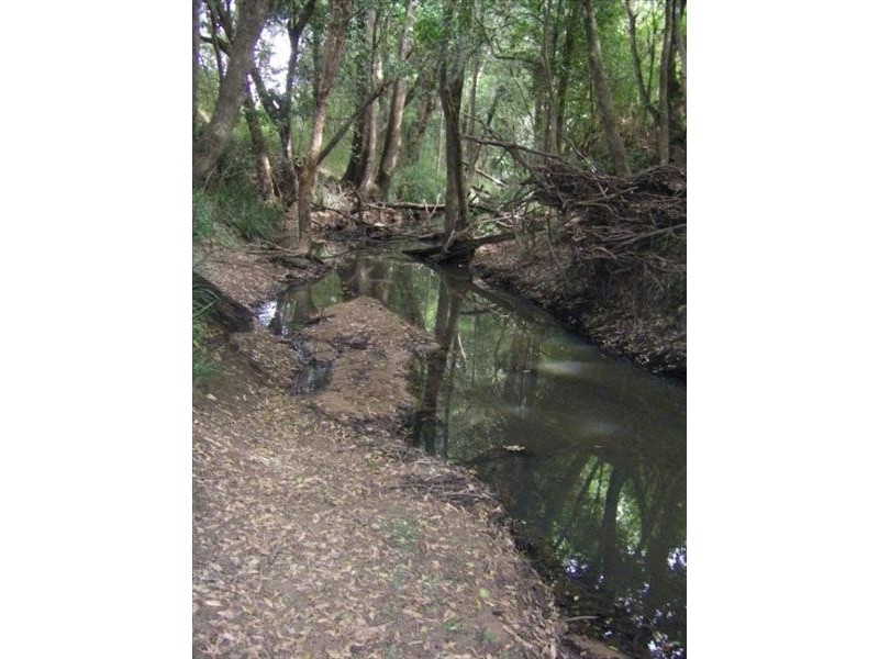 37 Terreel Rd, Wards RIver Via, Stroud NSW 2425