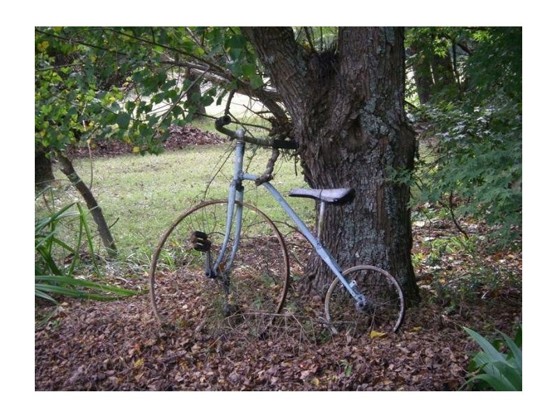 37 Terreel Rd, Wards RIver Via, Stroud NSW 2425