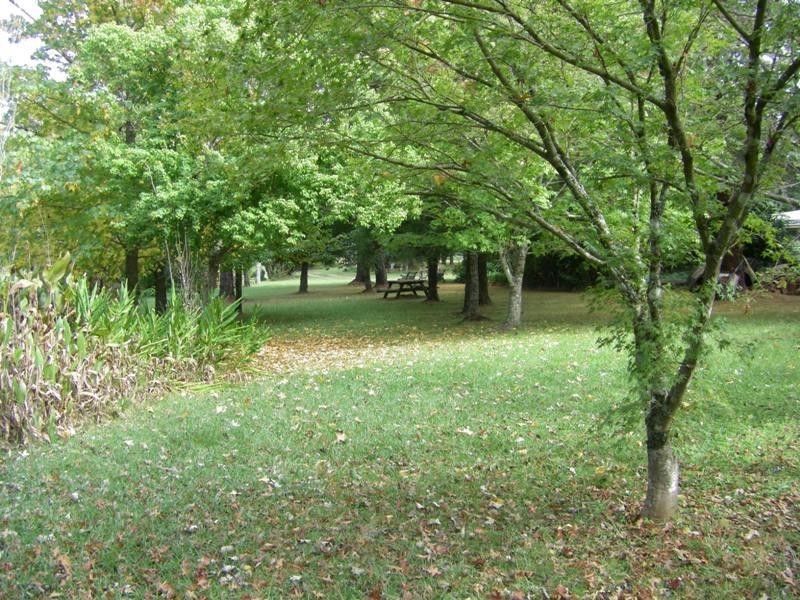 37 Terreel Rd, Wards RIver Via, Stroud NSW 2425