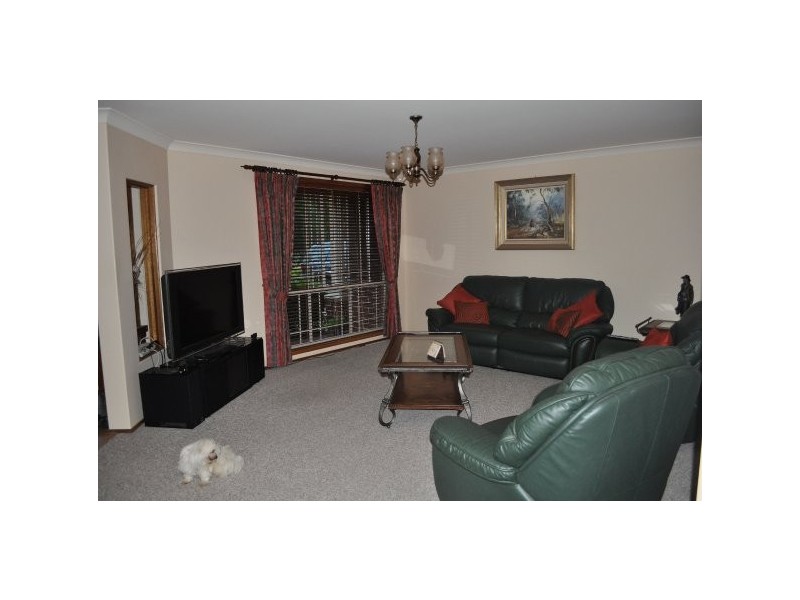 3 Hudson Close, Medowie NSW 2318
