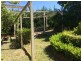 18 Karuah Street, Stroud Road NSW 2415