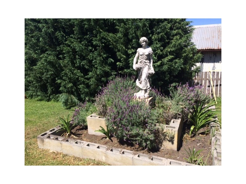 18 Karuah Street, Stroud Road NSW 2415