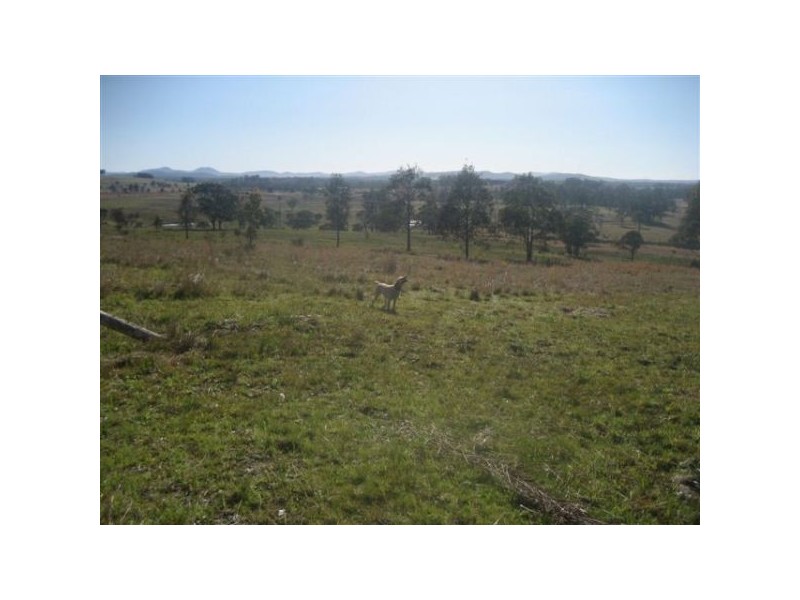 763 Warraba Road, The Branch NSW 2425