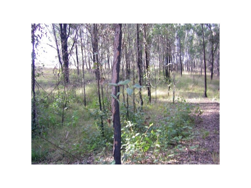 Lot 1 Washpool Rd, Stroud NSW 2425