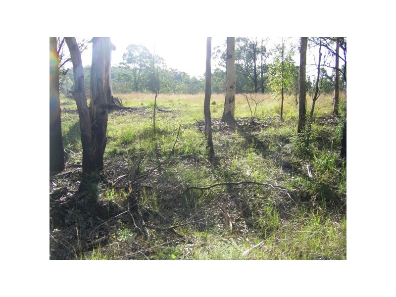 Lot 1 Washpool Rd, Stroud NSW 2425