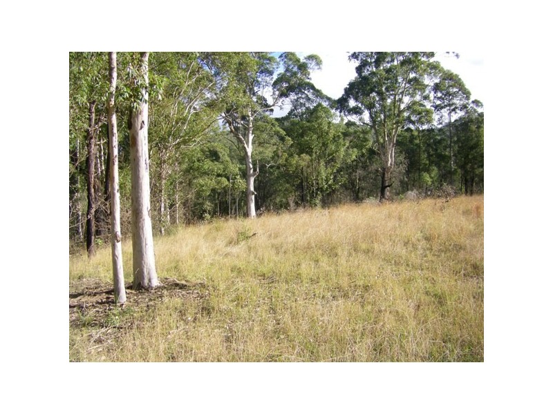 Lot 1 Washpool Rd, Stroud NSW 2425