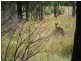 Lot 1 Washpool Rd, Stroud NSW 2425