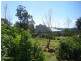 Booral NSW 2425