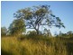 Stroud NSW 2425