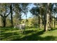 1215 Stroud Hill Rd, NOOROO Via, Stroud NSW 2425