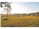 501 Bucketts Way, Stroud NSW 2425