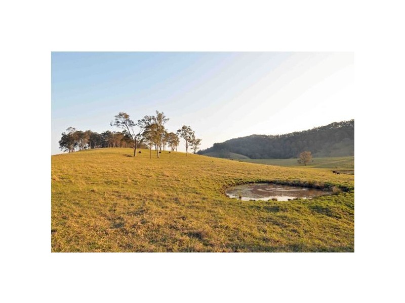 501 Bucketts Way, Stroud NSW 2425