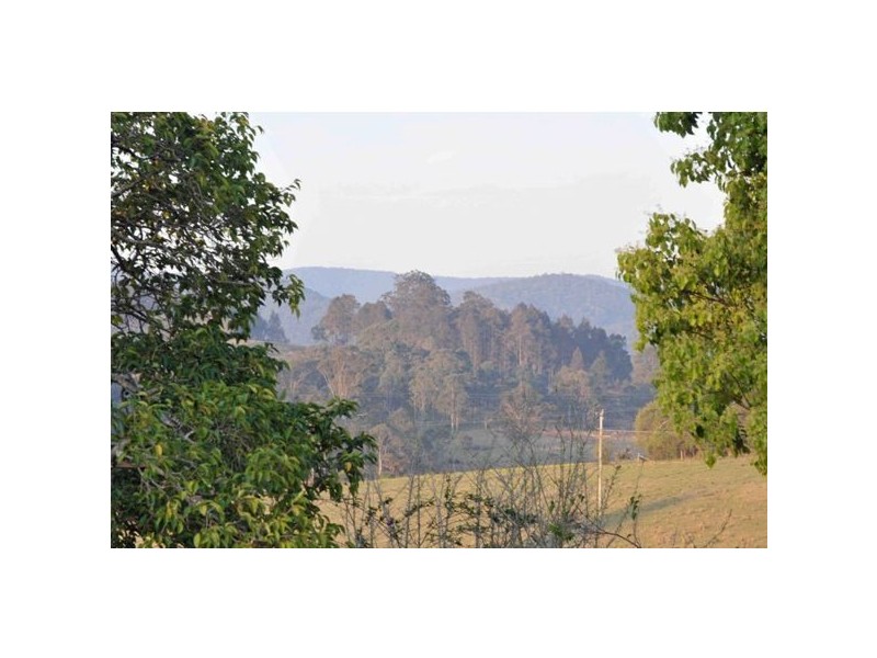 501 Bucketts Way, Stroud NSW 2425