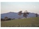 501 Bucketts Way, Stroud NSW 2425