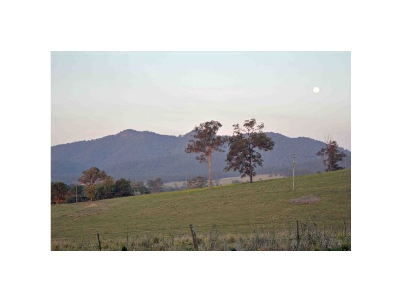 501 Bucketts Way, Stroud NSW 2425