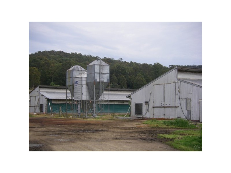 1644 Bucketts Way, Booral NSW 2425