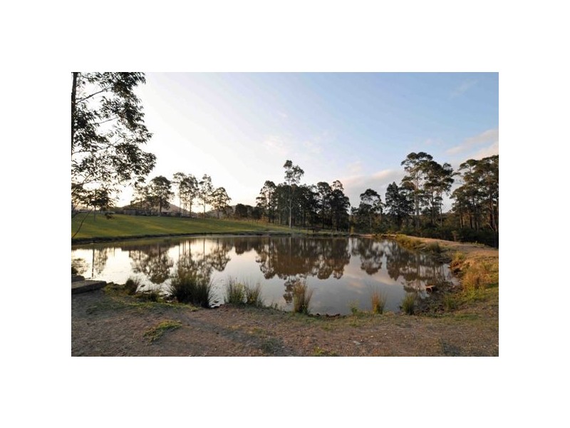 389 The Branch Lane, THE BRANCH Via, Booral NSW 2425