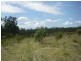 413 The Branch Lane, The Branch NSW 2425