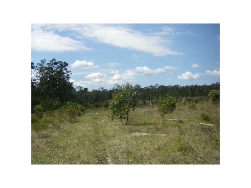 413 The Branch Lane, The Branch NSW 2425