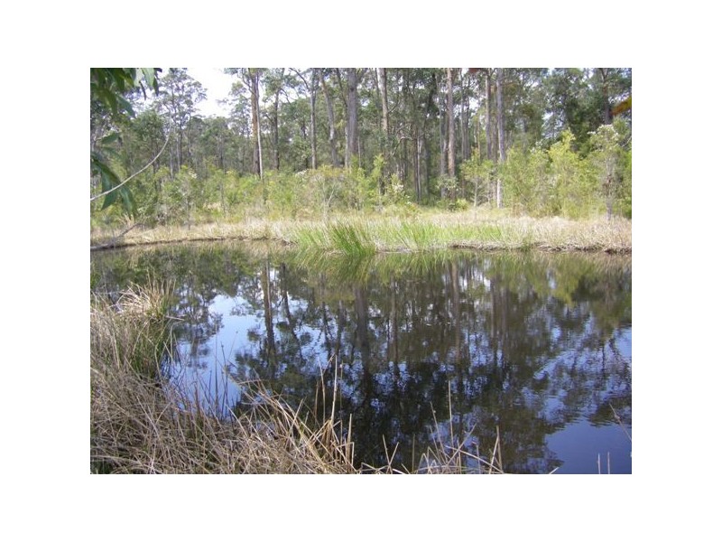 413 The Branch Lane, The Branch NSW 2425