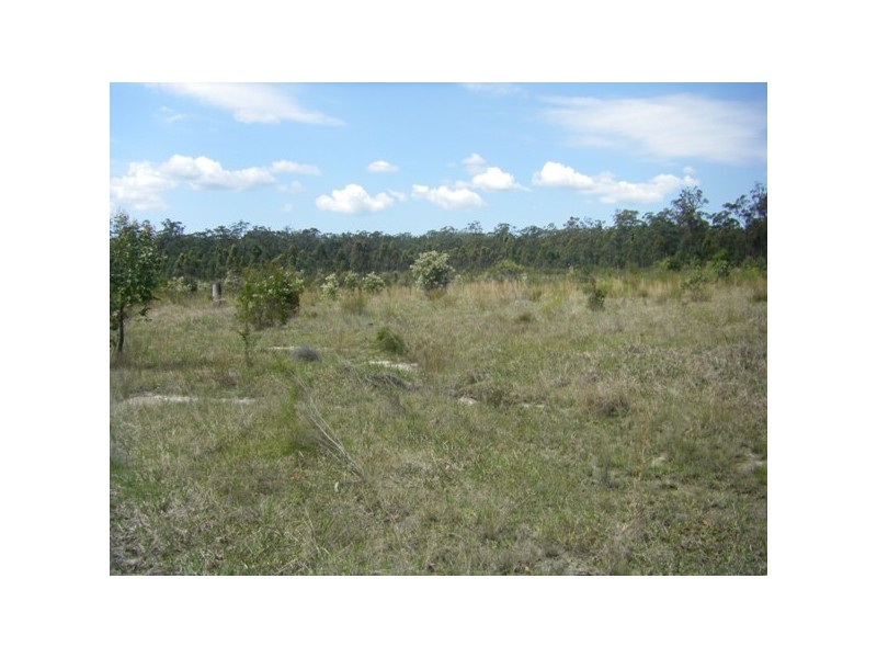 413 The Branch Lane, The Branch NSW 2425