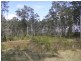 413 The Branch Lane, The Branch NSW 2425
