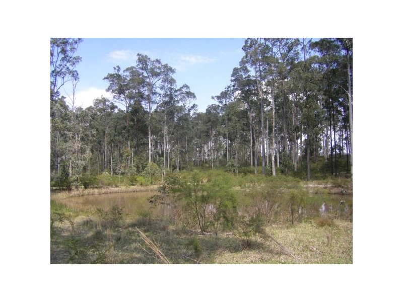 413 The Branch Lane, The Branch NSW 2425