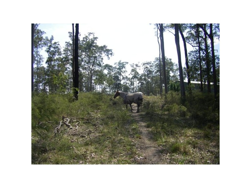 413 The Branch Lane, The Branch NSW 2425