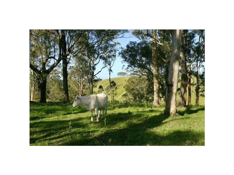 1215 Stroud Hill Rd, NOOROO Via, Stroud NSW 2425