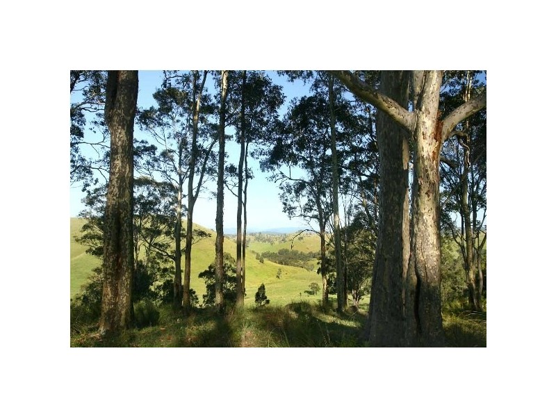 1215 Stroud Hill Rd, NOOROO Via, Stroud NSW 2425