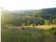 Stroud NSW 2425