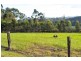400 Mill Creek Rd, Stroud NSW 2425