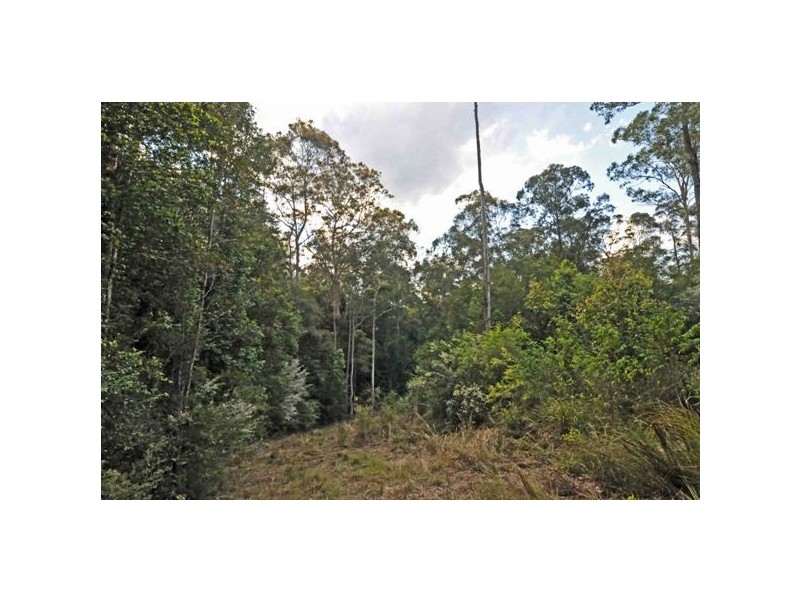 400 Mill Creek Rd, Stroud NSW 2425