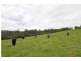 1318 Booral Rd, Girvan NSW 2425