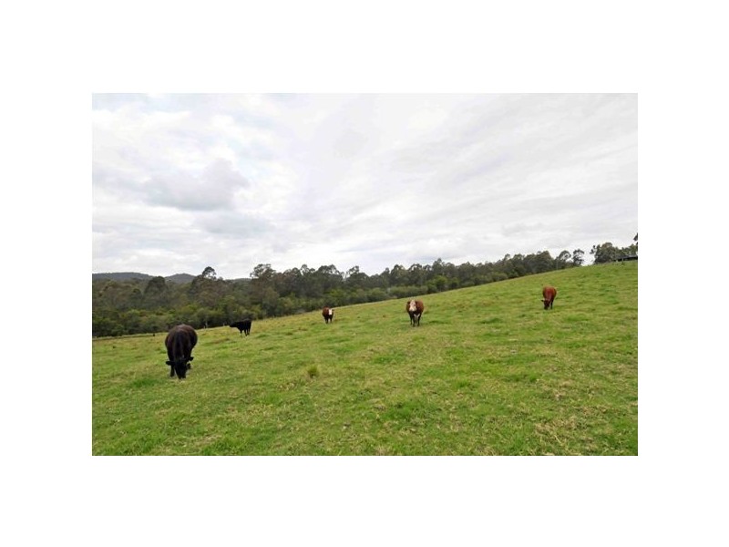 1318 Booral Rd, Girvan NSW 2425