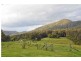 1318 Booral Rd, Girvan NSW 2425