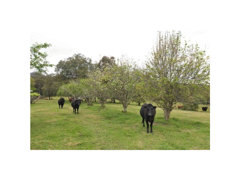 1318 Booral Rd, Girvan NSW 2425